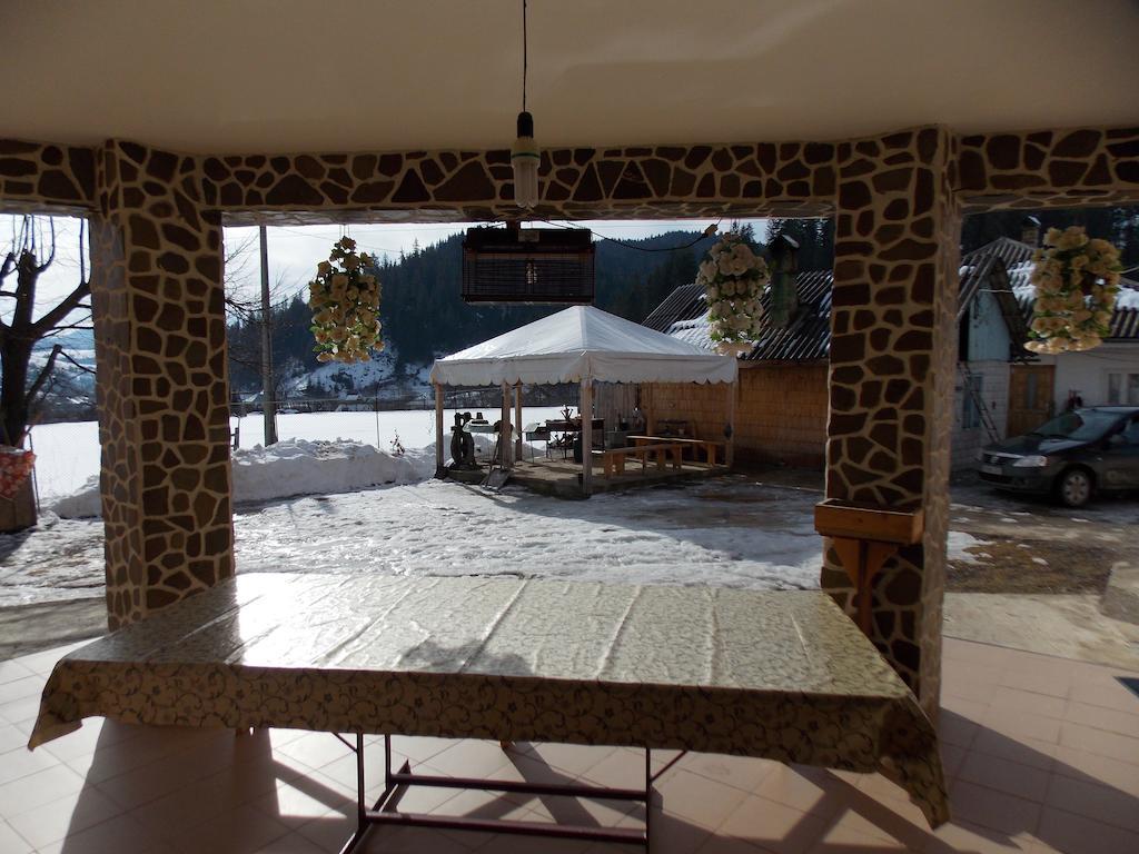 Guest house Pensiunea Paradiso