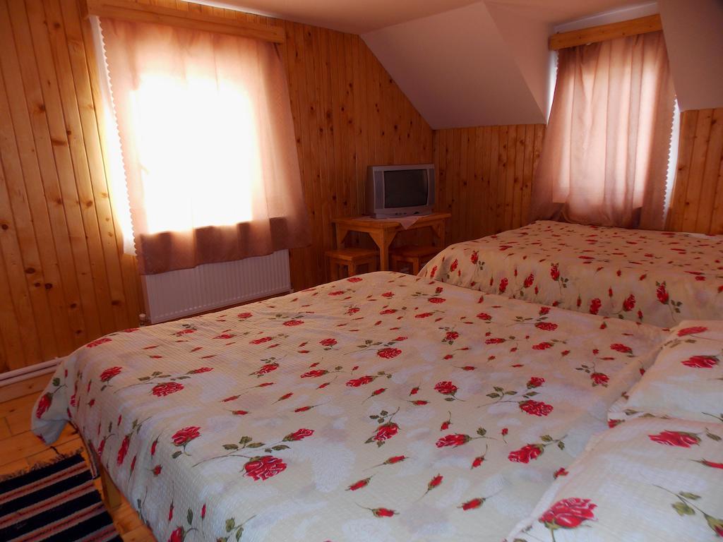 Guest house Pensiunea Paradiso